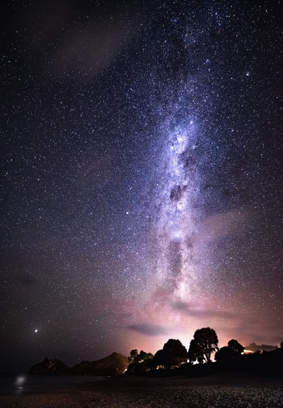 树的轮廓在星光灿烂的夜晚
